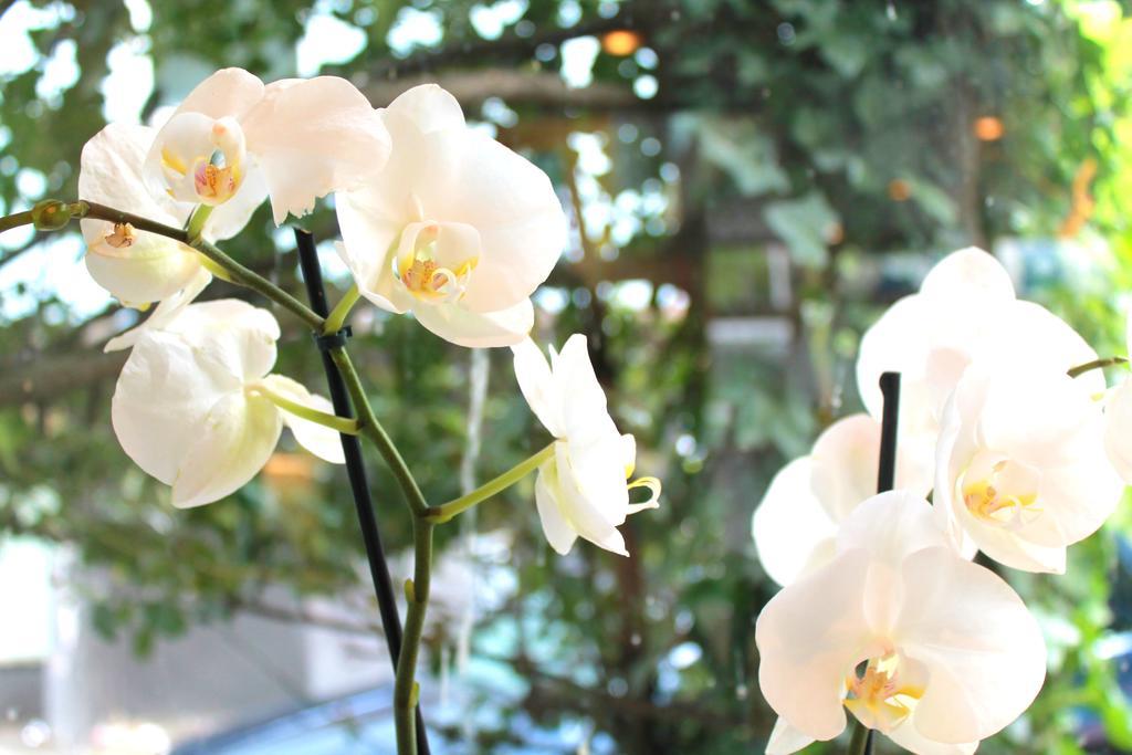 Hotel Eden Am Kurpark 본 외부 사진